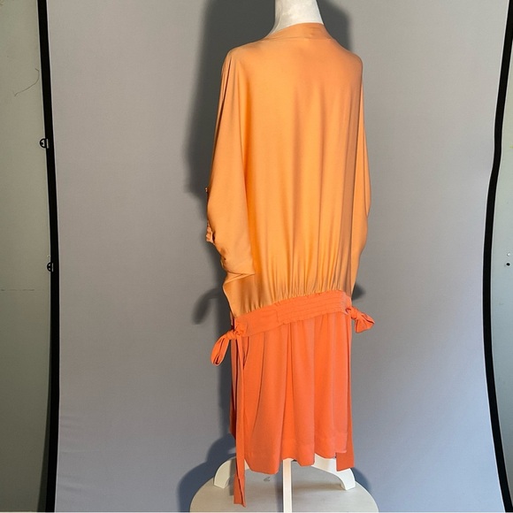 Diane Von Furstenberg Peach/Apricot Silk Drop Waist Batwing Puffed Sleeves Dress - Picture 8 of 16